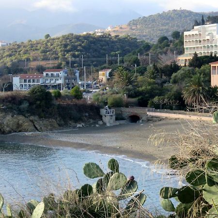 Les Pieds Dans L'Eau Apartment Banyuls-sur-Mer Ngoại thất bức ảnh