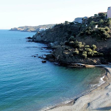 Les Pieds Dans L'Eau Apartment Banyuls-sur-Mer Ngoại thất bức ảnh