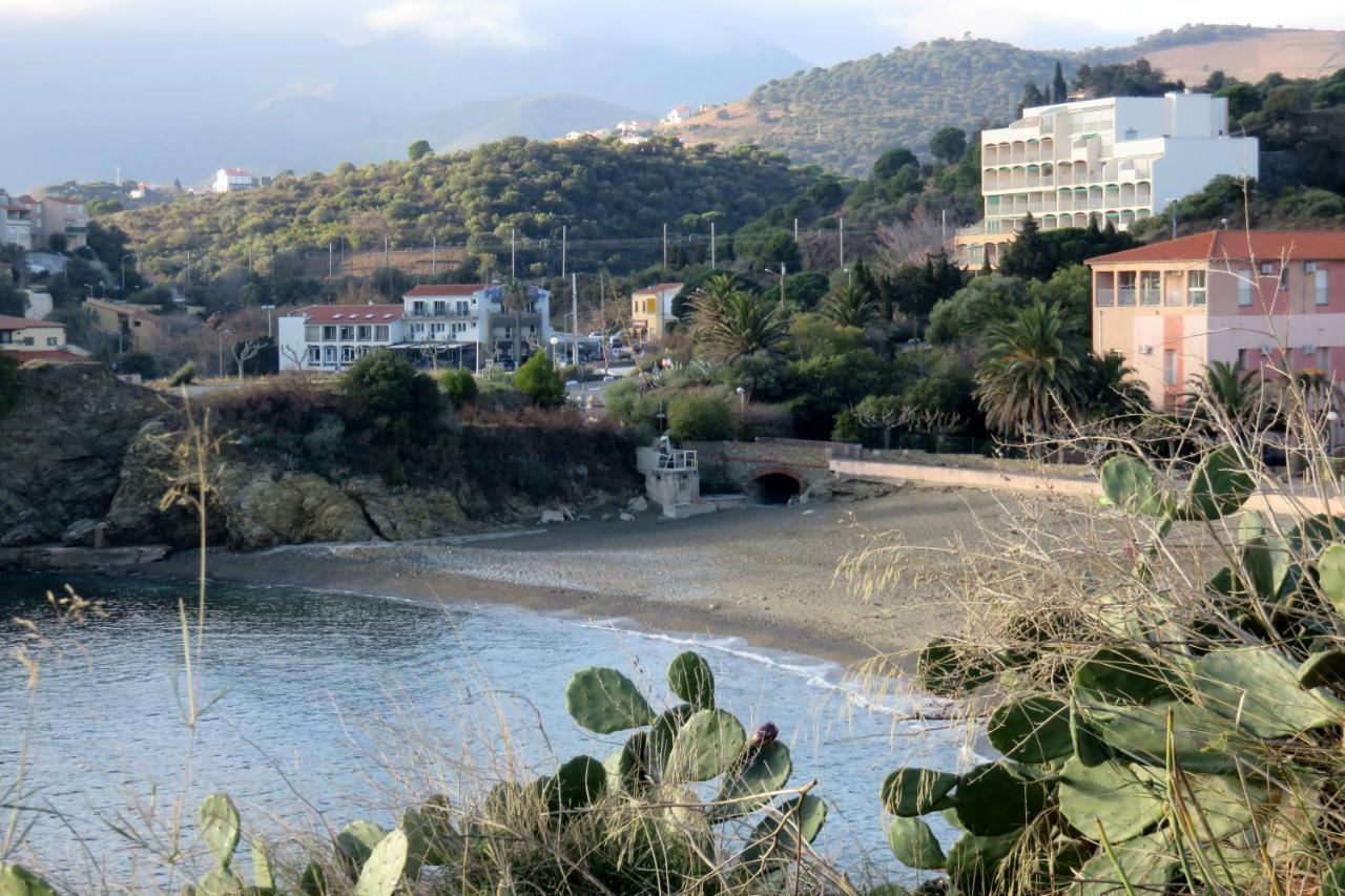 Les Pieds Dans L'Eau Apartment Banyuls-sur-Mer Ngoại thất bức ảnh